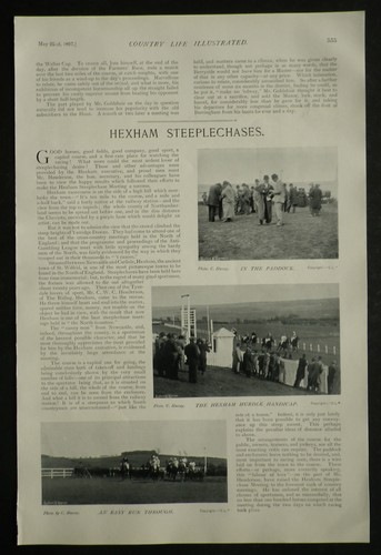 Horse racing steeplechase - horse,