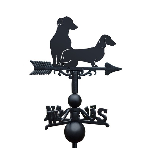 Dachshund and jack russel - dachshund,