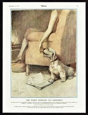 Sealyham Woggles Affection