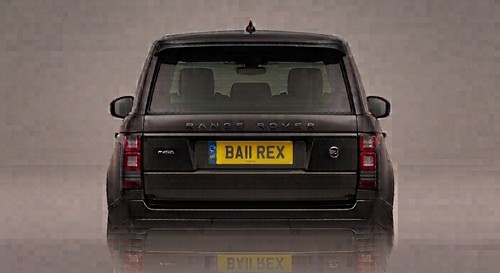 Ba11 rex private cherished - private,