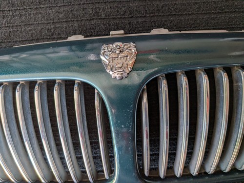 Jaguar chrome grille type - grille, x
