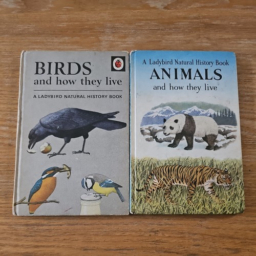 Ladybird birds animals and - ladybird, +
