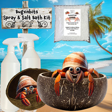 Bugznbits Hermit Crab Spray &