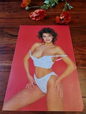 SANDRA JONES ORIGINAL RARE POSTER ☆SUN PAGE 3 GIRL☆ *RISE OF THE FOOTSOLDIER*