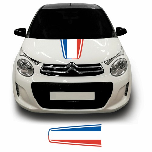 French flag bonnet - flag, racing