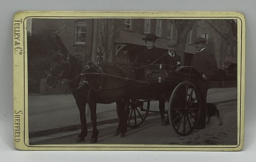 Cdv donkey cart with - cart, people