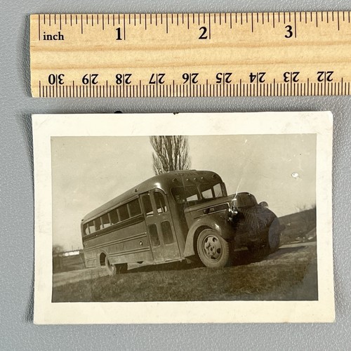 Vintage 1940s photo - vintage, school