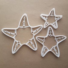 Starfish sea star - sea, marine