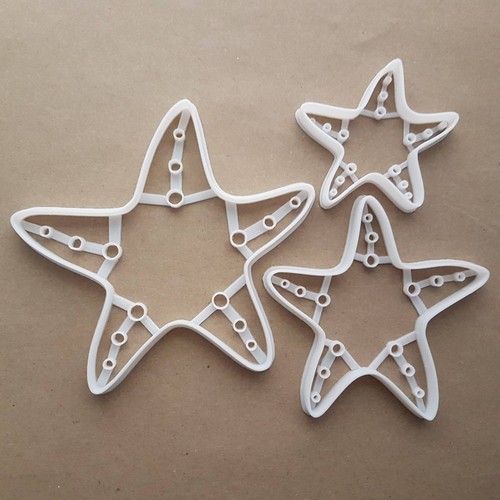Starfish sea star - starfish,