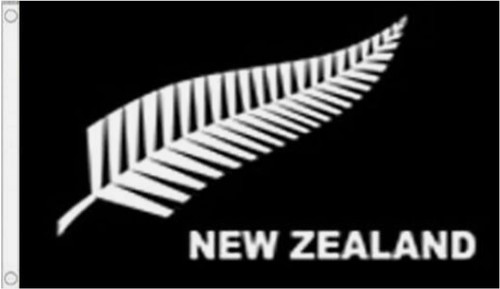 Silver fern flag - fern,