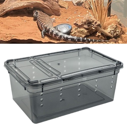 Reptile feeding box case small - feeding,