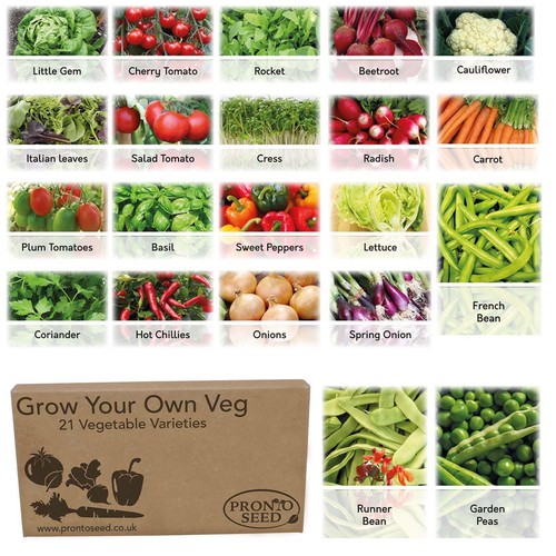 Pronto seed grow - pronto, your