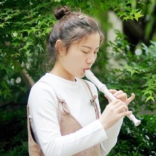 Soprano Recorder in Black &