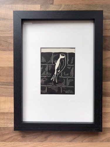 House martin framed - martin’-,