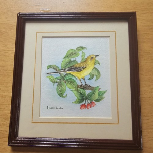 Original water colour - original, by