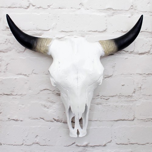 White faux cow skull - white, sizes