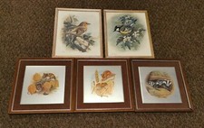 Bundle Of Pictures, John