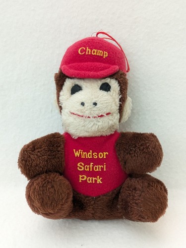 Windsor safari park champ - park,