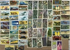 Brooke Bond Tea (68) cards plus odd cards by Kellogg, Lyons, Fine Fare 