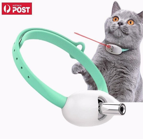 Cat collar laser pointer - cat,