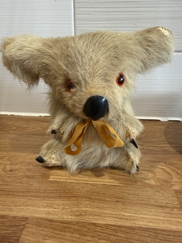 Vintage australian koala bear - australian,