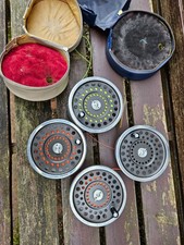 a fine hardy marquis salmon