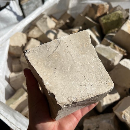 Reclaimed portuguese cream - portuguese,