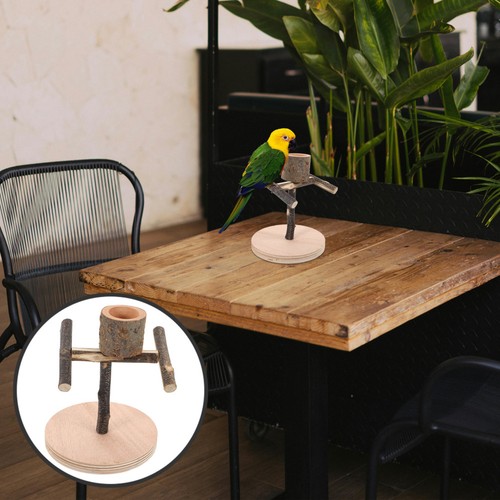 Parrot play stand parakeet - parrot,