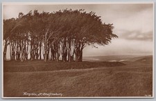 WINGREEN near Shaftesbury