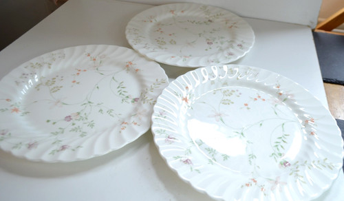 Wedgewood campion 5cm d - wedgewood,