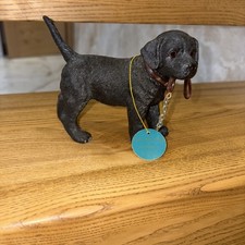 Leonardo Black Dog Studies