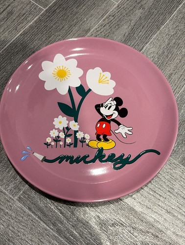 Disney mickey mouse - mickey,
