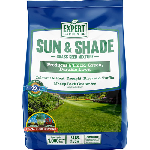 Grass seed sun - seed,