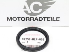 Honda CB 750 Nighthawk dust