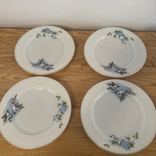 1960 jaj pyrex wild - jaj,