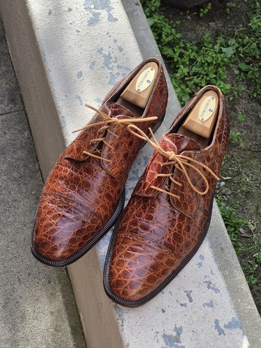 Forli brown genuine crocodile - brown,
