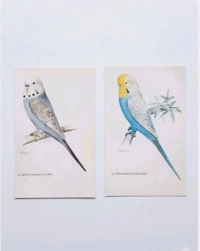 Set vintage botanical - vintage,