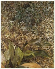 Two Plants Lucian Freud botanical print in 11 x 14 inch mount ready to frame