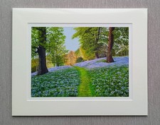 Bluebell Woods - A Beautiful High Quality Giclee Print