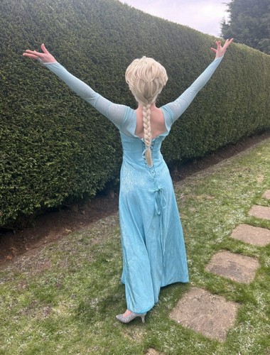 Adult elsa costume handmade - costume,