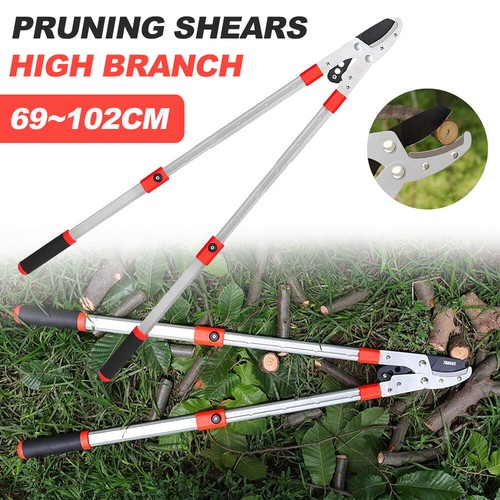 Telescopic tree loppers - telescopic,