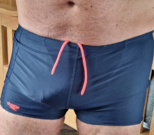 Speedo men navy swim - men's, trunks