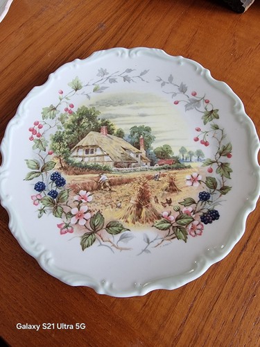 Cottage garden plates by - 2,