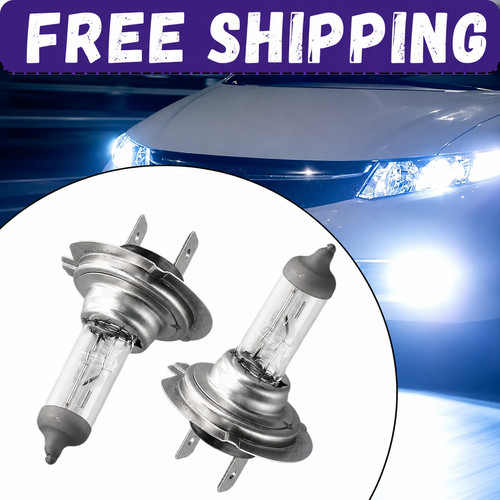 Bulbs 55w 6000k car - bulbs, 2v