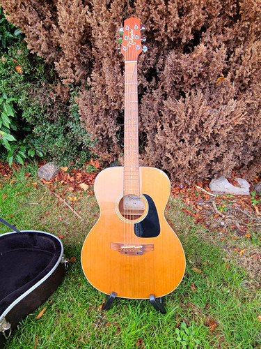 Takamine p1m electro - takamine, electro-acoustic