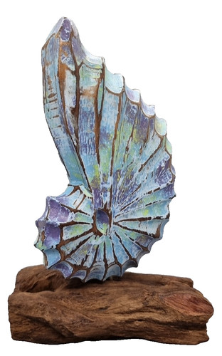 Shell carving driftwood - shell,