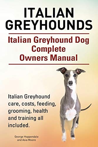 Italian greyhounds - italian,