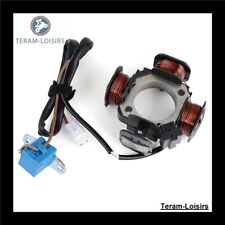 Ignition Stator for Suzuki LTZ