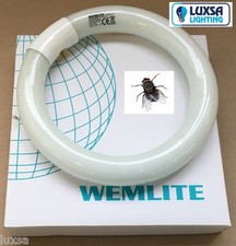 Pack of 2 Fly Killer Circular