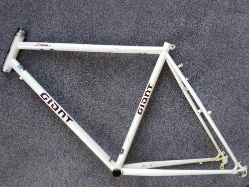 1989 giant sierra steel - giant, cr-mo